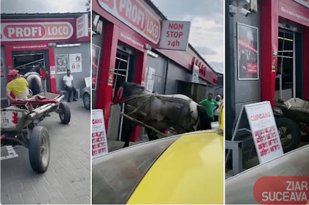Un agent de pază din Suceava a intrat cu calul în magazinul în care lucra, pentru a atrage atenția polițiștilor | VIDEO