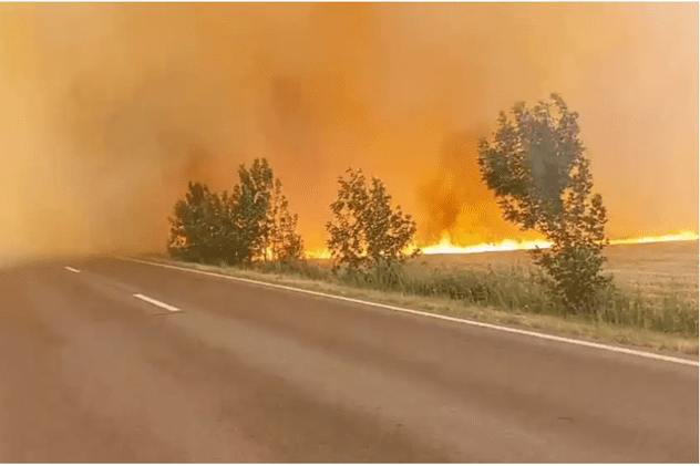 Incendiul de vegetație care a blocat traficul pe E 70 din județul Teleorman a fost stins