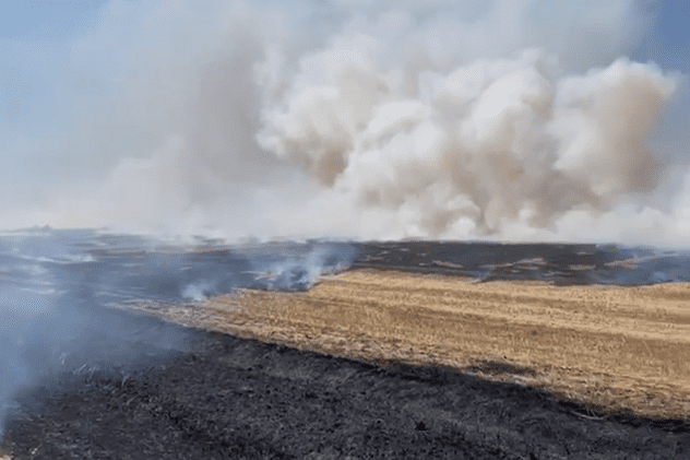 Incendiu puternic de vegetație lângă Timișoara. Ard 30 de hectare de mirişte