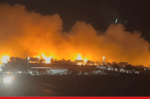 Mii de petrecăreți din cluburile de noapte de pe insula croată Pag, evacuați după ce o pădure de pini a luat foc