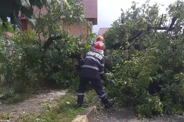 Localitatea Horezu a rămas fără energie electrică după ce un copac doborât de vânt a rupt cablurile de curent