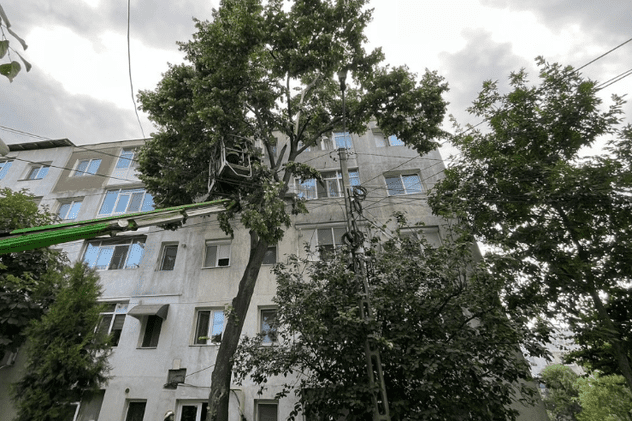 Copaci căzuți și mașini avariate din cauza vântului puternic, în București, Ilfov și Constanța