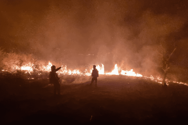 Incendii în mai multe județe din țară. În Prahova, ard 25 de hectare de vegetație, fâșia de foc are 5 kilometri