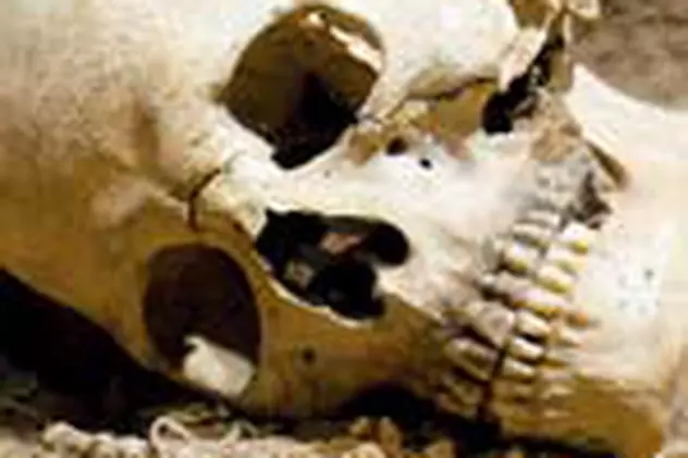 Trei cranii si fragmente de schelet uman, la Teslui 