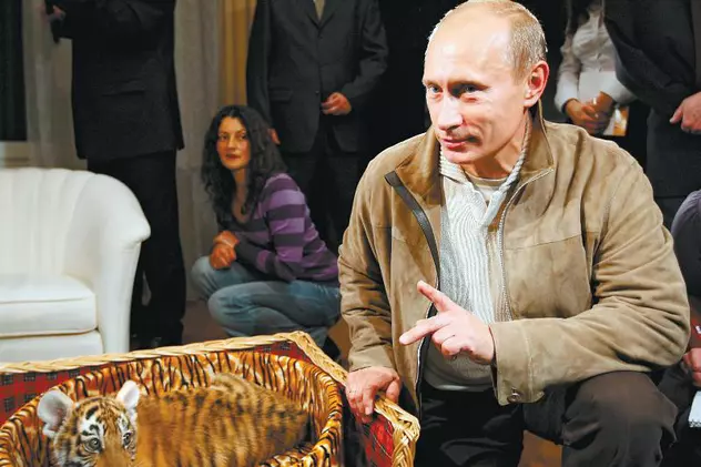 Vladimir Putin a primit cadou un pui de tigru