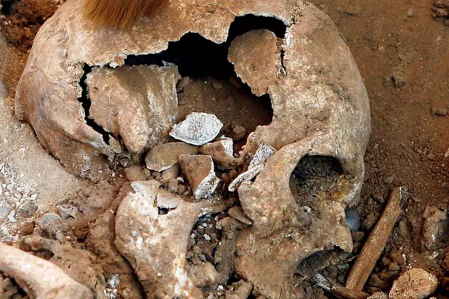 Două cranii, găsite în subsolul unei case din Austria