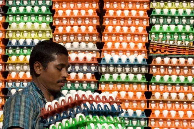 Rugbiştii indieni, obligaţi de antrenor să mănânce 15 ouă pe zi