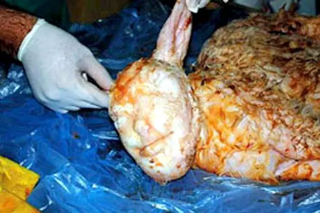 Şocant! O oaie din Turcia a fătat un miel cu cap de om
