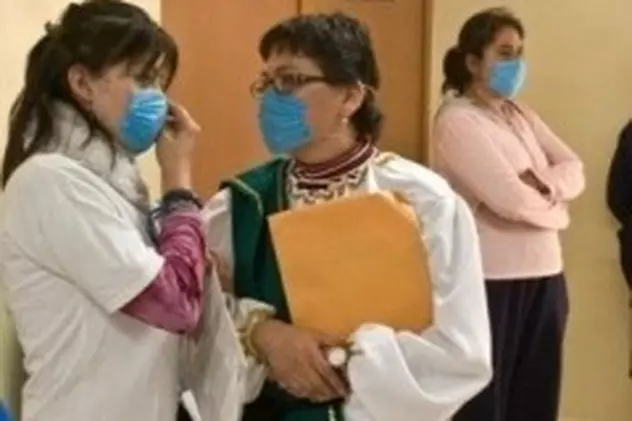 Au fost înregistrate alte 29 de cazuri de gripă porcină