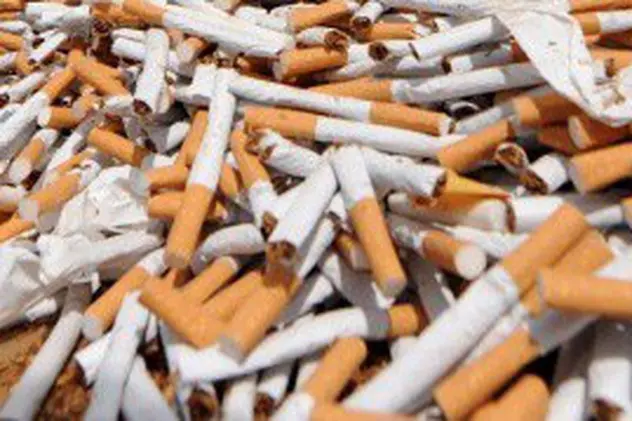 Aproape 12,5 milioane de ţigarete contrafăcute au fost confiscate de vameşii constănţeni