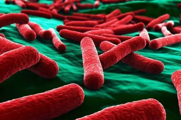 Descoperire îngrijorătoare în SUA: Autoritățile medicale au găsit o bacterie rezistentă la orice antibiotic