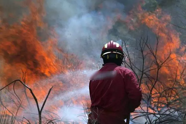 Incendiu de vegetație în Turcia. O casă a fost distrusă și mai multe zone sunt amenințate