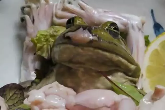 Cea mai dezgustătoare mâncare vine din Japonia ... și mișcă! VIDEO ȘOCANT