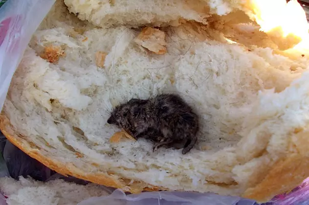 Susţine că a găsit un şoarece copt în pâine! FOTO