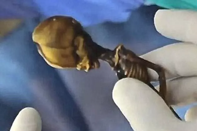 Rezultate ŞOCANTE în urma analizei ADN a extraterestrului găsit în deşertul Atacama