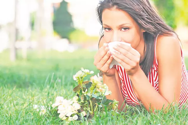 Alergii și plante: ce anume provoacă ce alergii și în ce perioadă