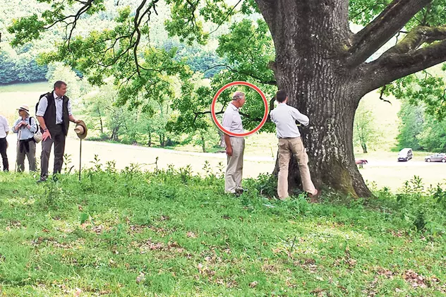 Charles are un stejar de 250 de ani! Prințul Marii Britanii are grijă de copacii seculari din România