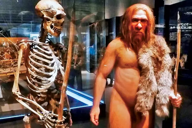 Ultimul om de Neanderthal a trăit pe teritoriul României