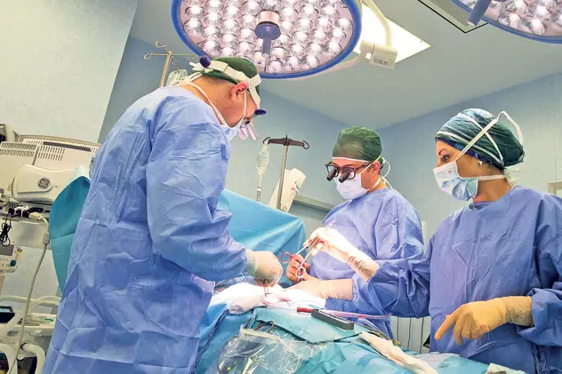 Premieră mondială. O echipă de chirurgi a transplantat un rinichi de la un animal la om