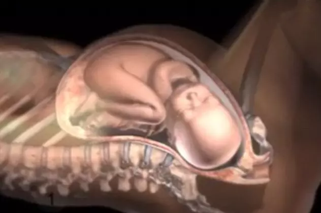 Imagini uimitoare. Cum se transformă corpul unei femei în timpul nașterii | VIDEO