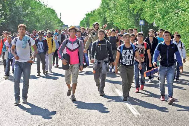 60 de imigranți au intrat ilegal în România, din Serbia. Ce a anunțat Poliția de Frontieră | VIDEO