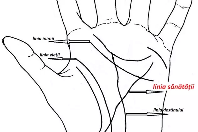 Învață să descifrezi semnalele ascunse în linia sănătății din palmă