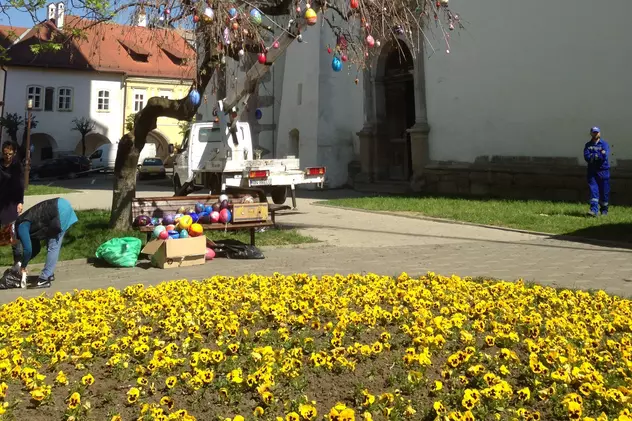 Pregătiri de Paști la Bistrița! Au împodobit un copac întreg cu... ouă