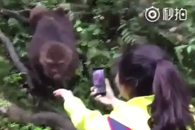 Momentul haios în care o maimuță fură telefonul unei tinere | VIDEO