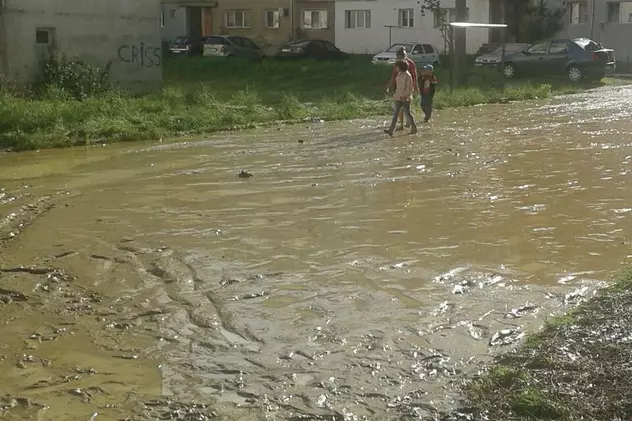 Ploile au făcut prăpăd în Valea Jiului. Viiturile au spălat regiunea de la est la vest | GALERIE FOTO