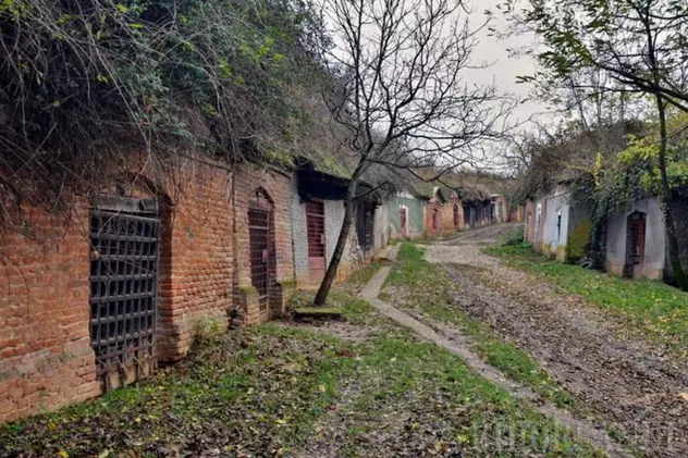 Satul cu o mie de pivnițe se află Bihor. Sunt mai multe beciuri decât case