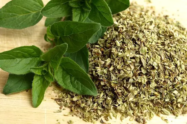 Ceaiul de oregano, un remediu naturist pentru dureri în gât, sinuzită și infecții