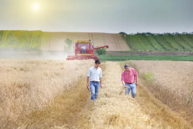 Sprijin pentru investiții în agricultură. Tinerii fermieri pot primi până la 50.000 de euro