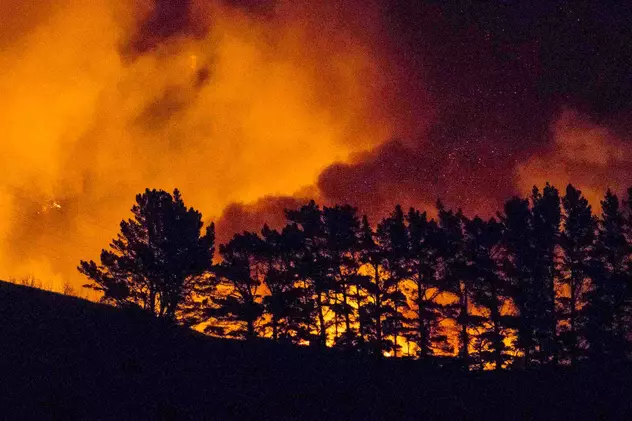Incendiu puternic în Noua Zeelandă: Sute de locuințe au fost evacuate | VIDEO