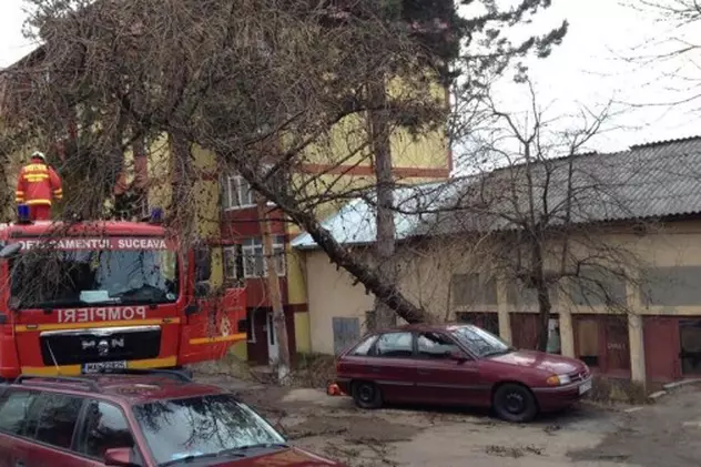Vântul a făcut ravagii în Suceava. Copaci căzuți peste mașini, acoperișul unui bloc smuls FOTO