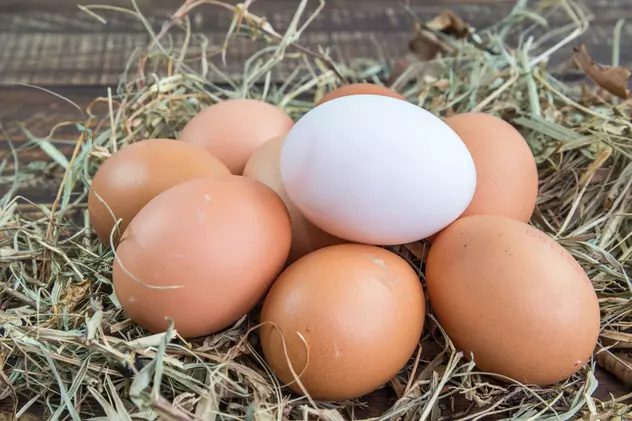 Diferența dintre ouăle albe și cele maronii