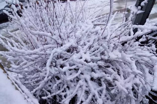 Imagini cu zăpada din Bucegi. Ce avertisment au dat meteorologii