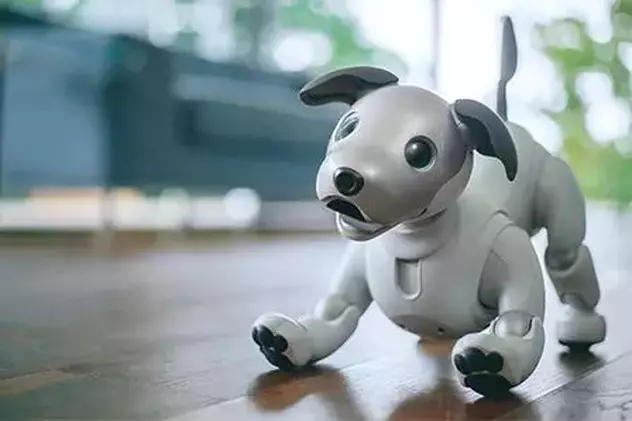 Sony relansează AIBO, cățelul-robot dotat cu inteligență artificială și personalitate