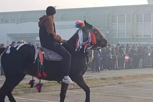 De Bobotează, caii din orașul lui Nea Mărin au fost stropiți cu agheasmă ca să nu se prindă blestemele de ei