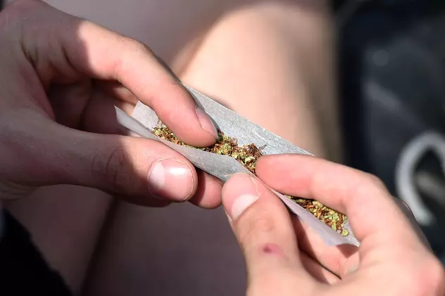 consumul de marijuana in canada