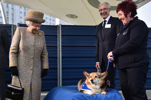 VIDEO | Regina Marii Britanii, îndurerată de moartea ultimului ei câine din rasa Corgi