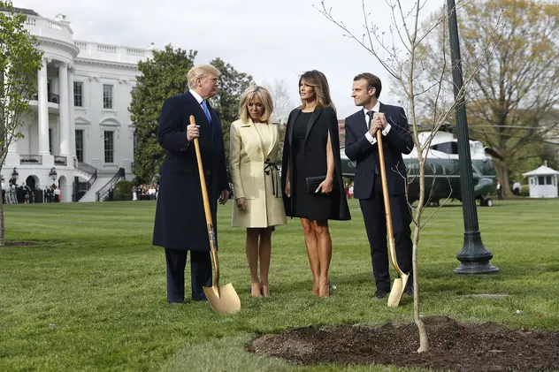 A dispărut copacul plantat de Trump și Macron