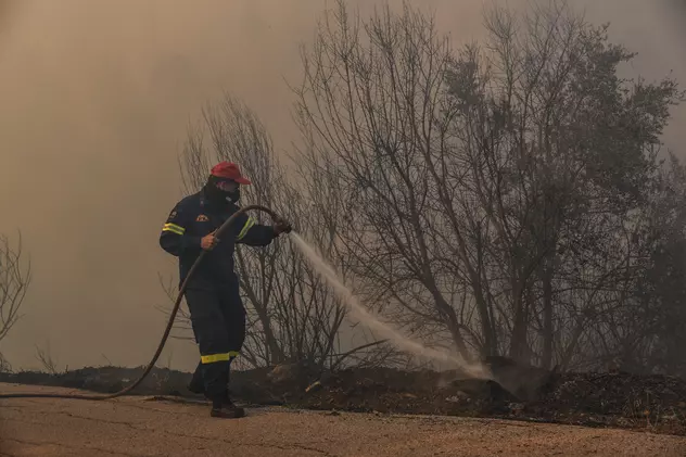 Incendii de vegetație provocate intenționat în Suceava