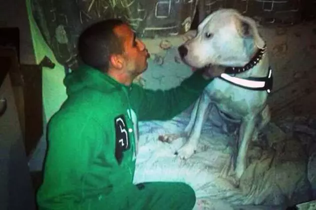 Un român a fost omorât de un italian fiindcă îi deranjase câinele! Ce pedeapsă a primit criminalul