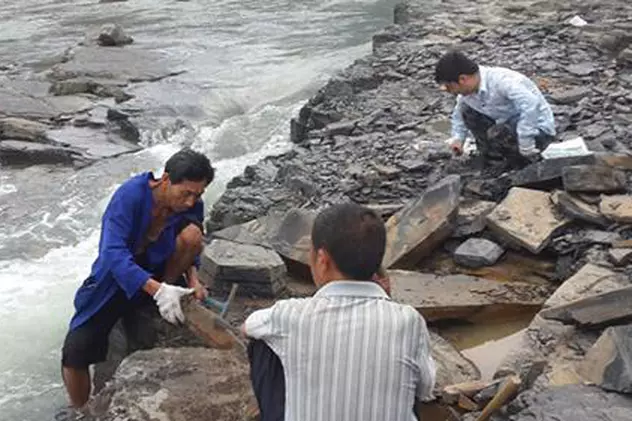 FOTO | Descoperire uluitoare în China: fosile cu o vechime de 518 milioane de ani pe malul unui râu!