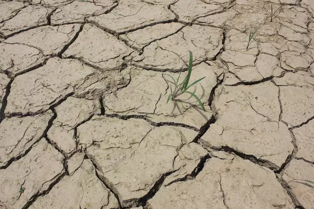 Un oraș de 9 milioane de oameni din India a rămas fără apă potabilă, după ce toate fântânile au secat. Pământ crăpat de secetă