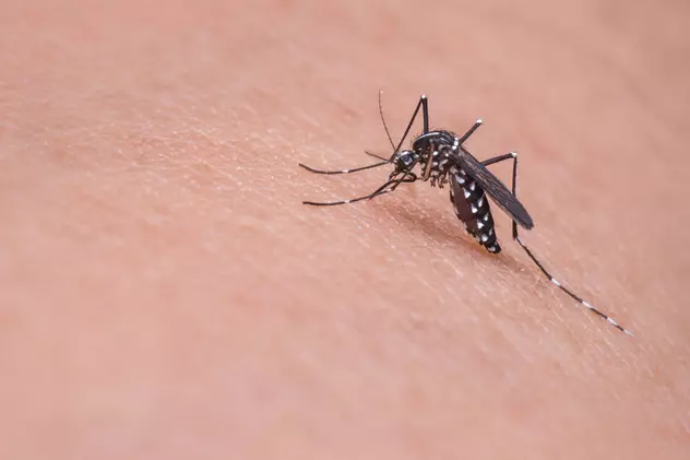 O formă de malarie rezistentă la medicamente se răspândește rapid în Asia