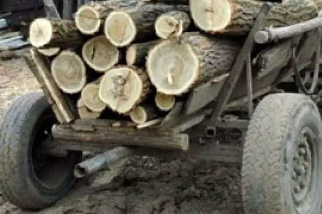Un tânăr din Argeș a murit după ce o căruță cu lemne s-a răsturnat peste el