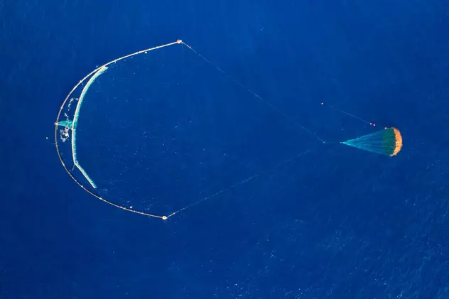Premieră: o soluție ingenioasă de colectare a plasticului din ocean funcționează cu succes în Oceanul Pacific