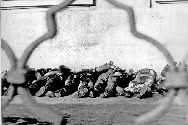 Trupurile morților Timișoarei erau furate acum exact 30 de ani, duse la București și arse. În mod cinic, operațiunea s-a numit ”Trandafirul”!