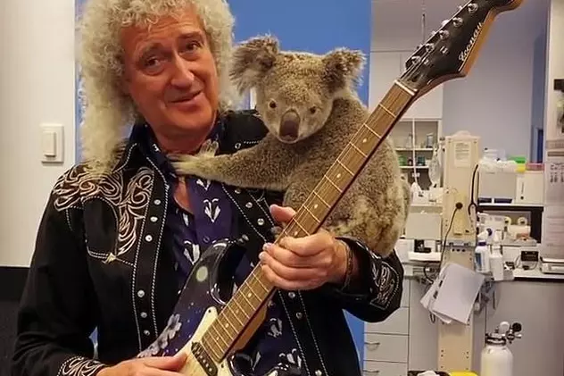 Legendarul Brian May, chitaristul trupei Queen, a cântat cu un koala pe umăr
